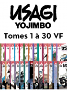 Cadeaux de dernière minute  (30)