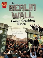 the berlin wall comes crashing down stripweb
