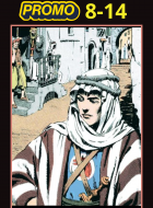 prins-valiant-stripweb-promo-2