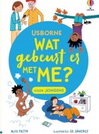 Wat gebeurt er met me jongens Stripweb