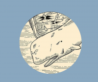 Ontwerp zonder titel - 2024-04-03T102912.380