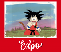 expo dragon ball