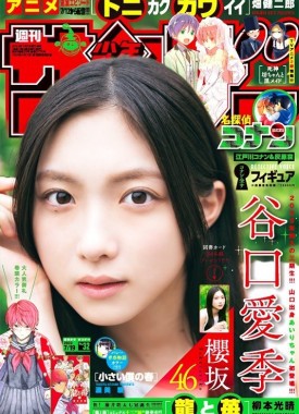 9004752-3779(2023-32)