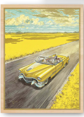 Blacksad gele auto kader naturel