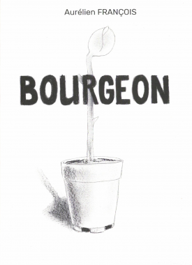 bourgeon