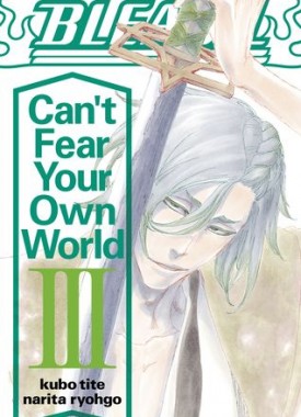 Bleach-light-novel-Cant-Fear-Your-Own-World-3-jp
