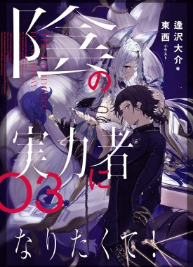 Kage-no-Jitsuryokusha-ni-Naritakute-novel-3-jp