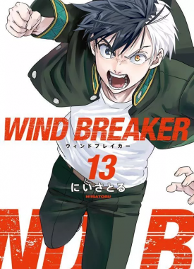 wind_breaker_nii_satoru_13989988