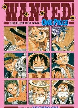 wanted-one-piece-stripweb