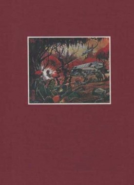 Het verschrikkelijke wapen luxe stripweb