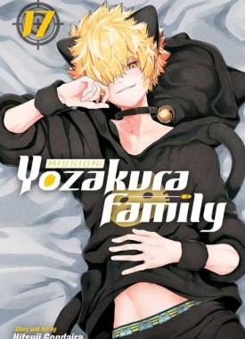 volume-17 (1)