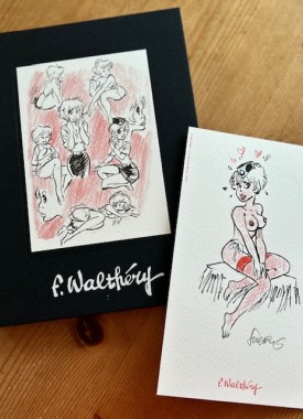 walthery-graff-stripweb-1