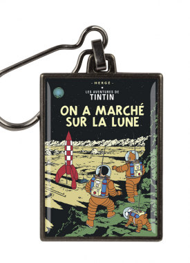 42542 - mannen op de maan