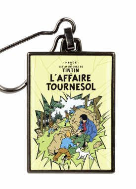 42543 - de zaak zonnebloem