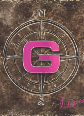 G stripweb