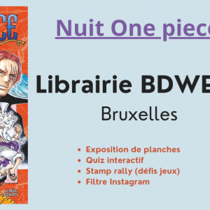 Publication FB nuit One piece