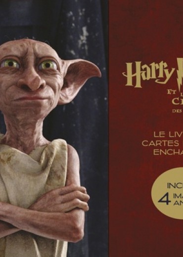 9782364806320-475x500-1