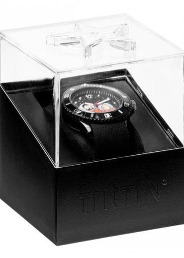 015314-tintin-lune-tintin-haddock-s-6