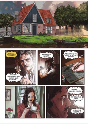 fluitist-van-arnhem1-5-stripweb