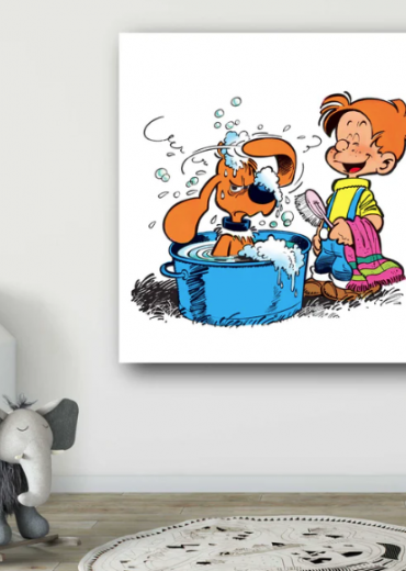 boule et bill zonder kader