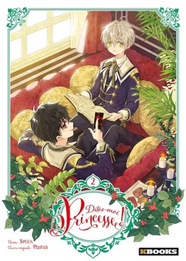 dites-moi_princesse_2_edition_reliee_francaise1002726