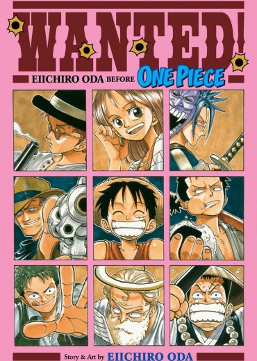 wanted-one-piece-stripweb