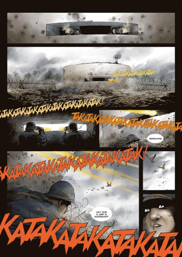 Albert-Roche-6-stripweb