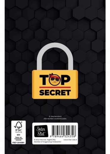 top secret dagboek met slot stripweb1