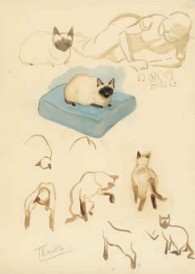 kuifje katten postkaart stripweb