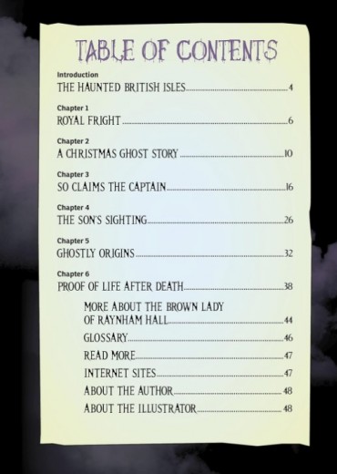 the eerie brown lady of raynham hall stripweb 2