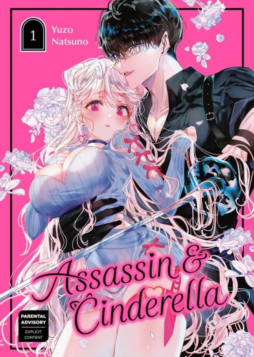 assassin-cinderella-stripweb-manga
