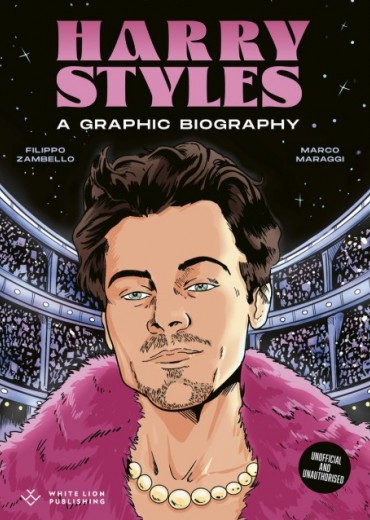 harry styles a graphic biography stripweb