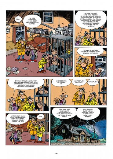 Sammy-INT9-40-stripweb