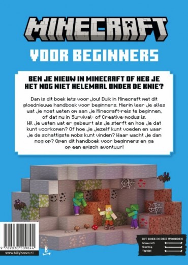 minecraft voor beginners stripweb 1