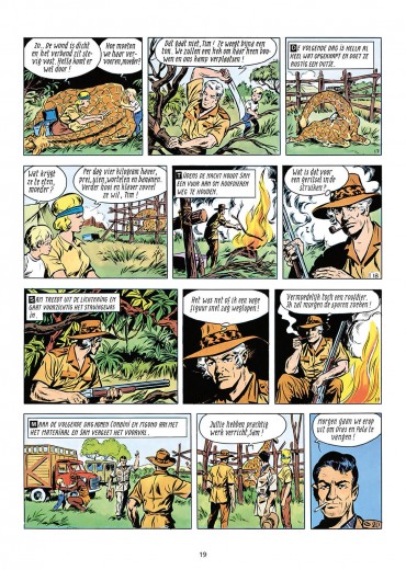 Safari-INT2-20-stripweb