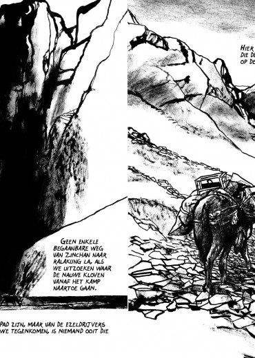 de-doortocht-stripweb-baudouin-4