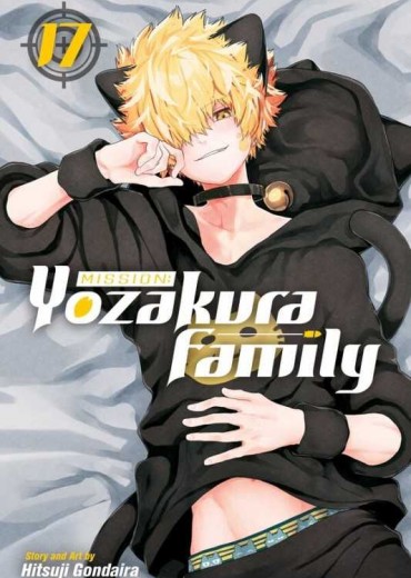 volume-17 (1)