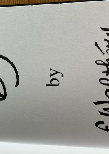 walthery-graff-stripweb-2