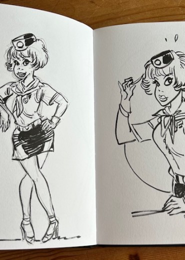 walthery-graff-stripweb-4