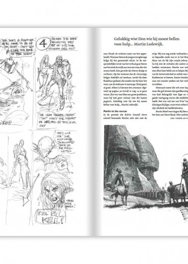 Storm-INT3-4-stripweb