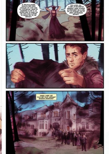 barnstormers hc stripweb 8