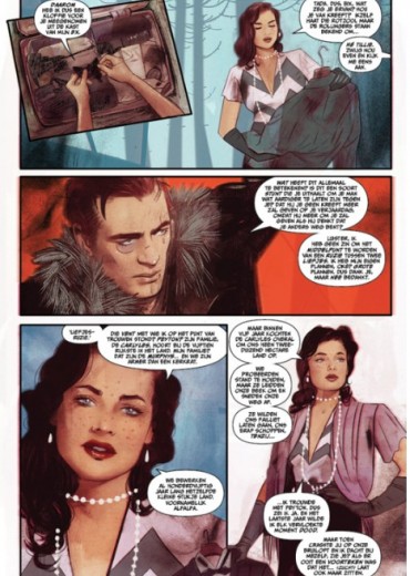 barnstormers hc stripweb 7