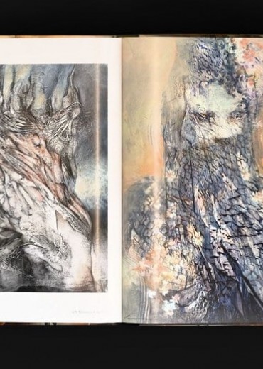 artbook sentience stripweb 3