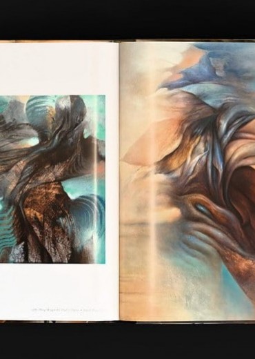 artbook sentience stripweb 1