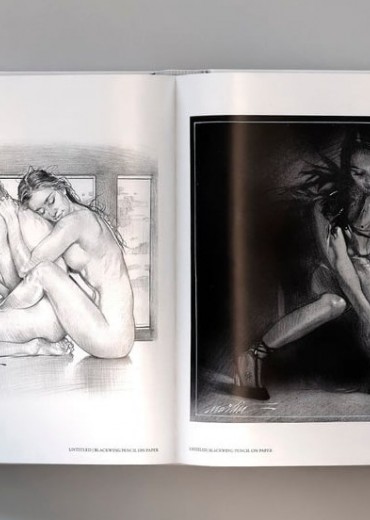 lys artbook stripweb 3