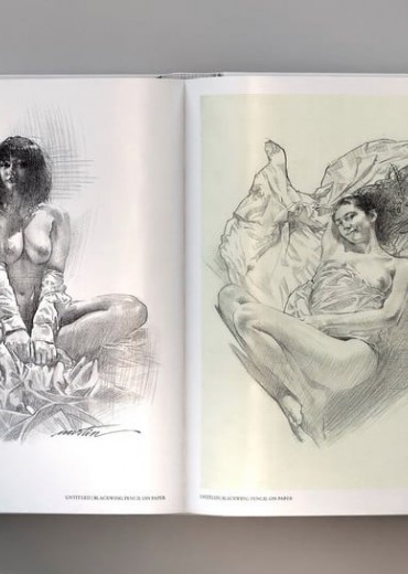 lys artbook stripweb 1