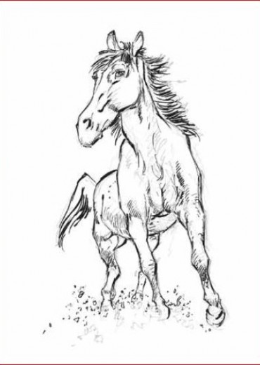 hermann-artbook-stripweb-paarden-1