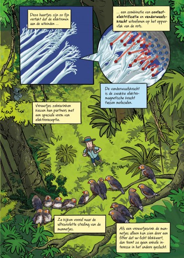 electrisch-leven-1-scratch-stripweb-5