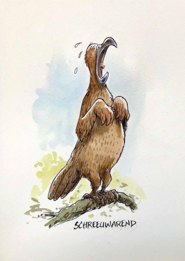 Vreemde-Vogels-6-stripweb