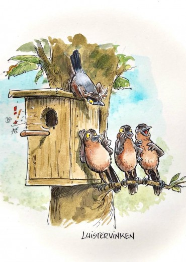 Vreemde-Vogels-2-stripweb